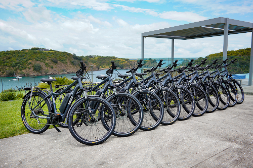 Bike hire on Waiheke
